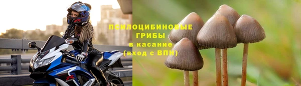 спайс Иннополис