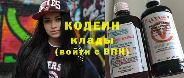 шишки Каменка
