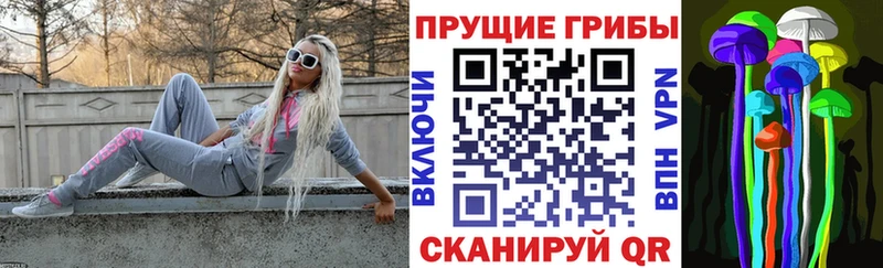Купить где  Зверево  Галлюциногенные грибы Cubensis 